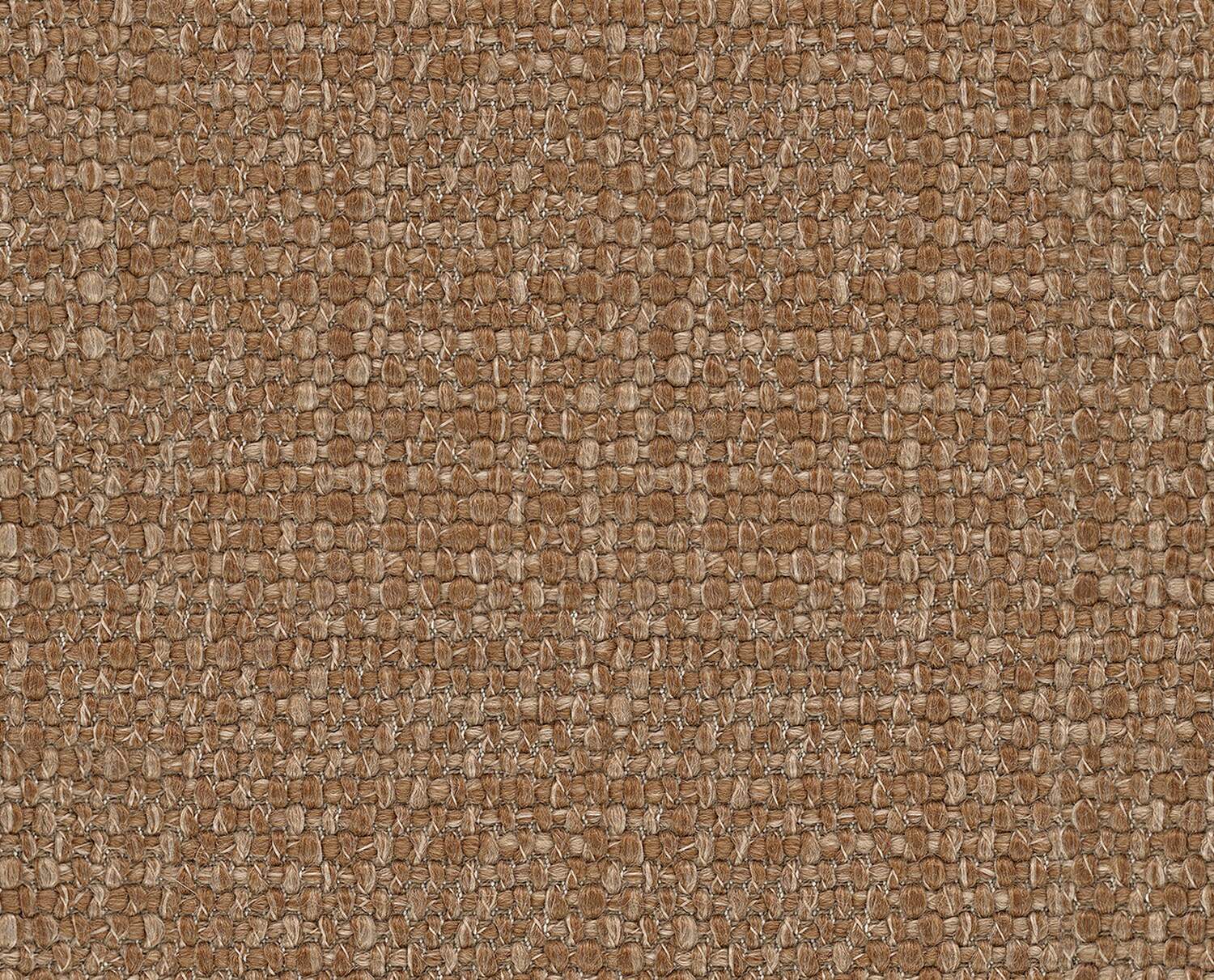 Cammello