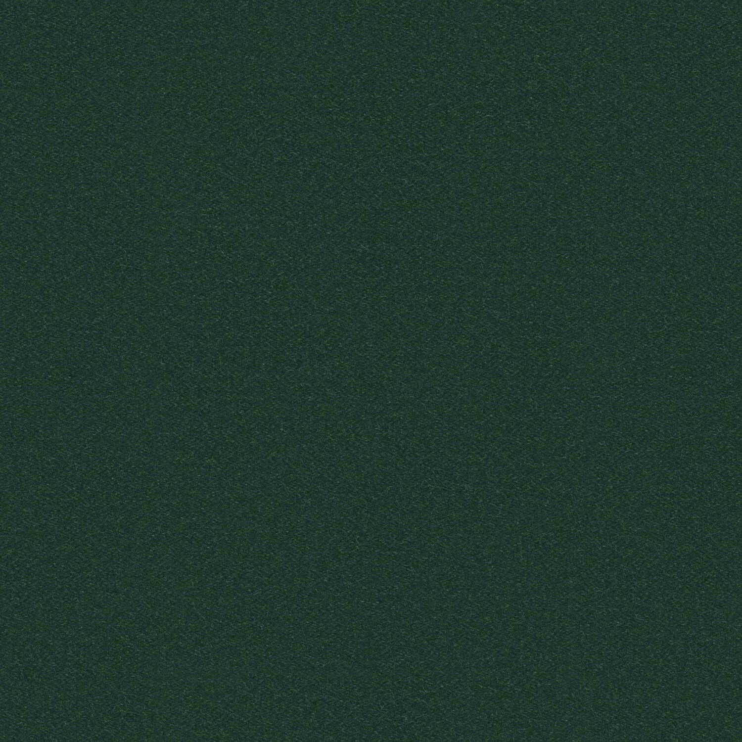 Verde bosco