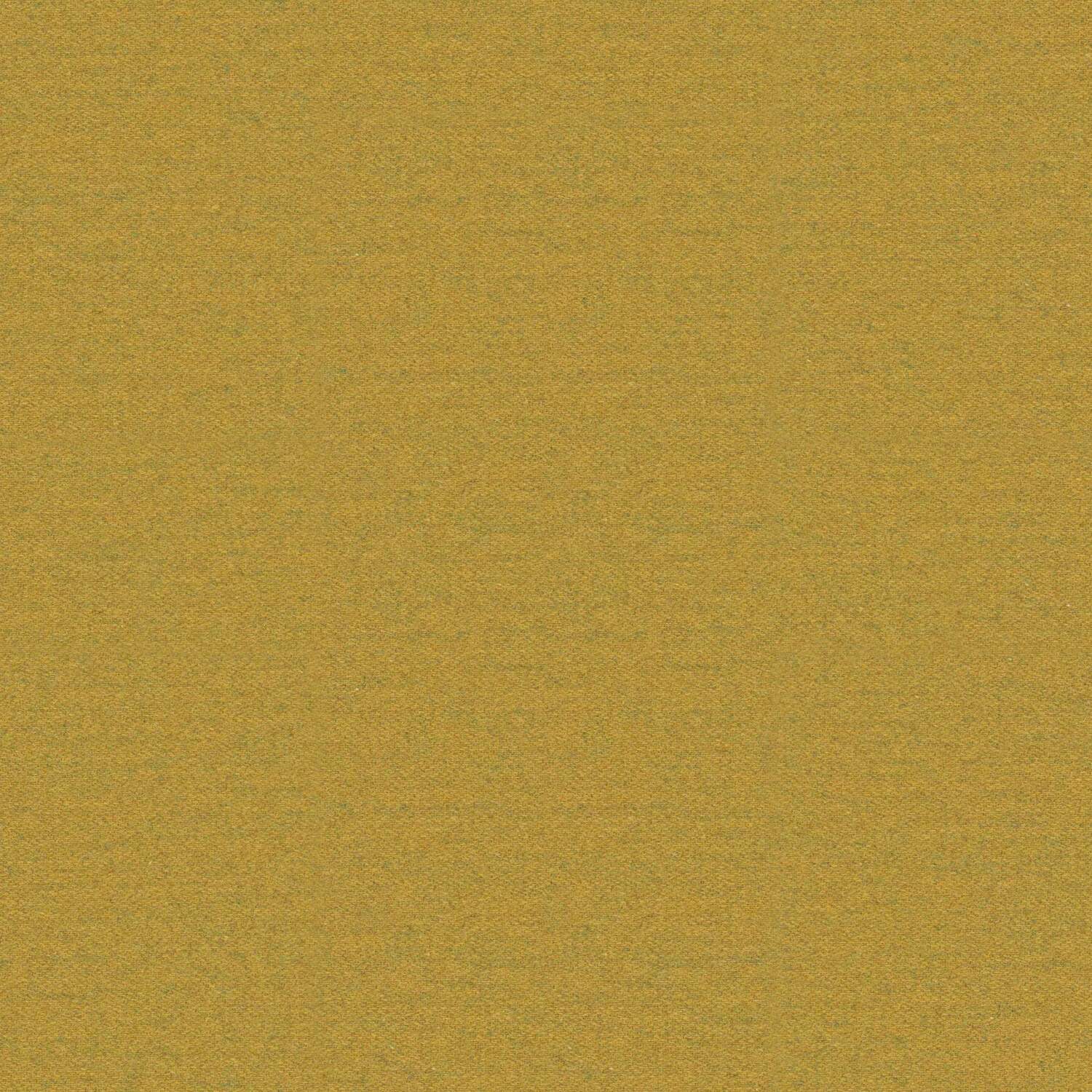 LOSANNA - Giallo
