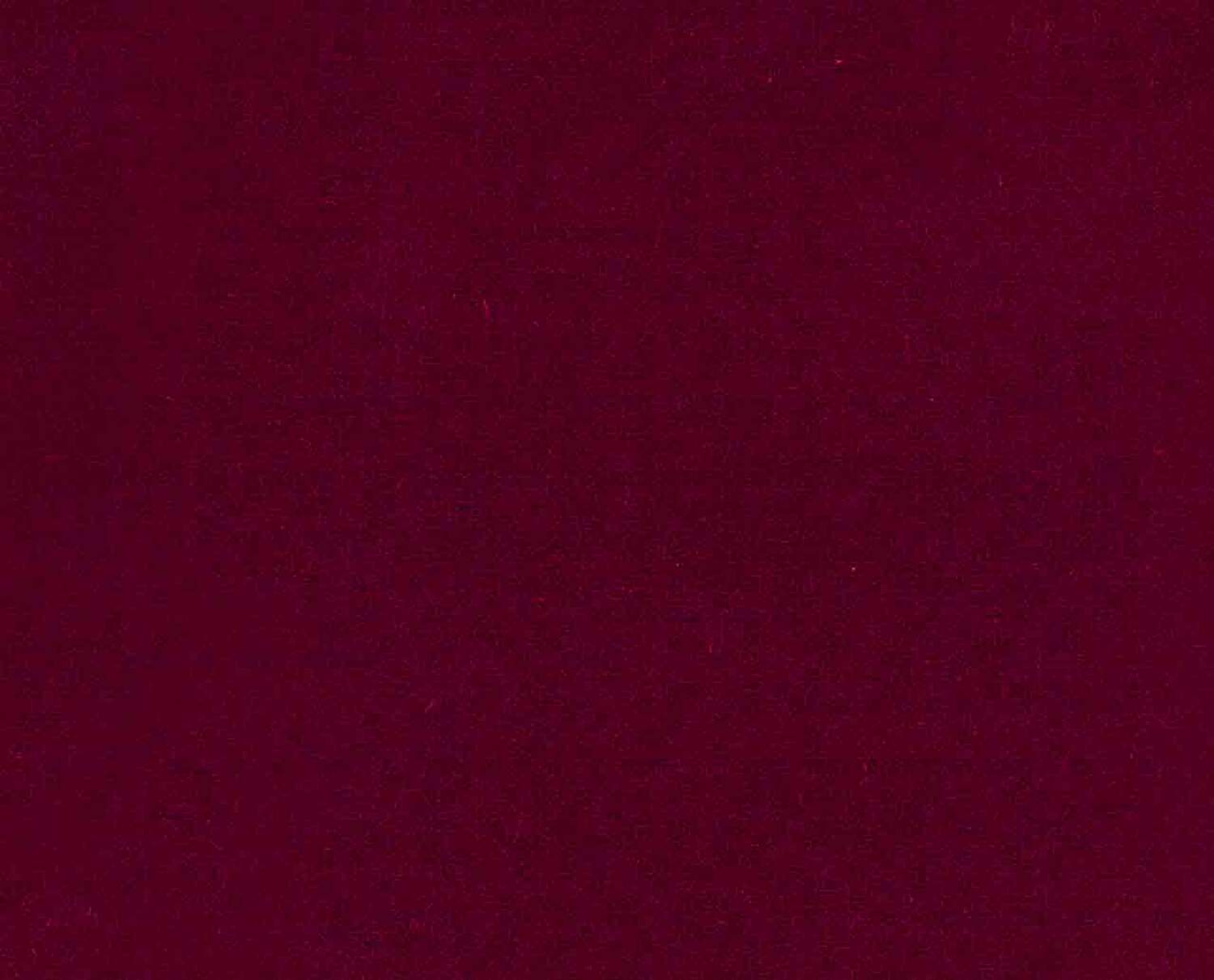 Prugna