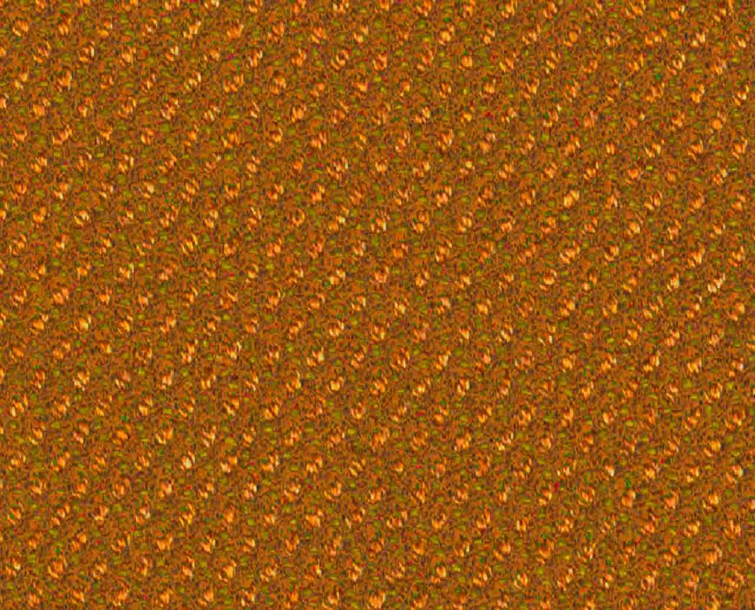 j009