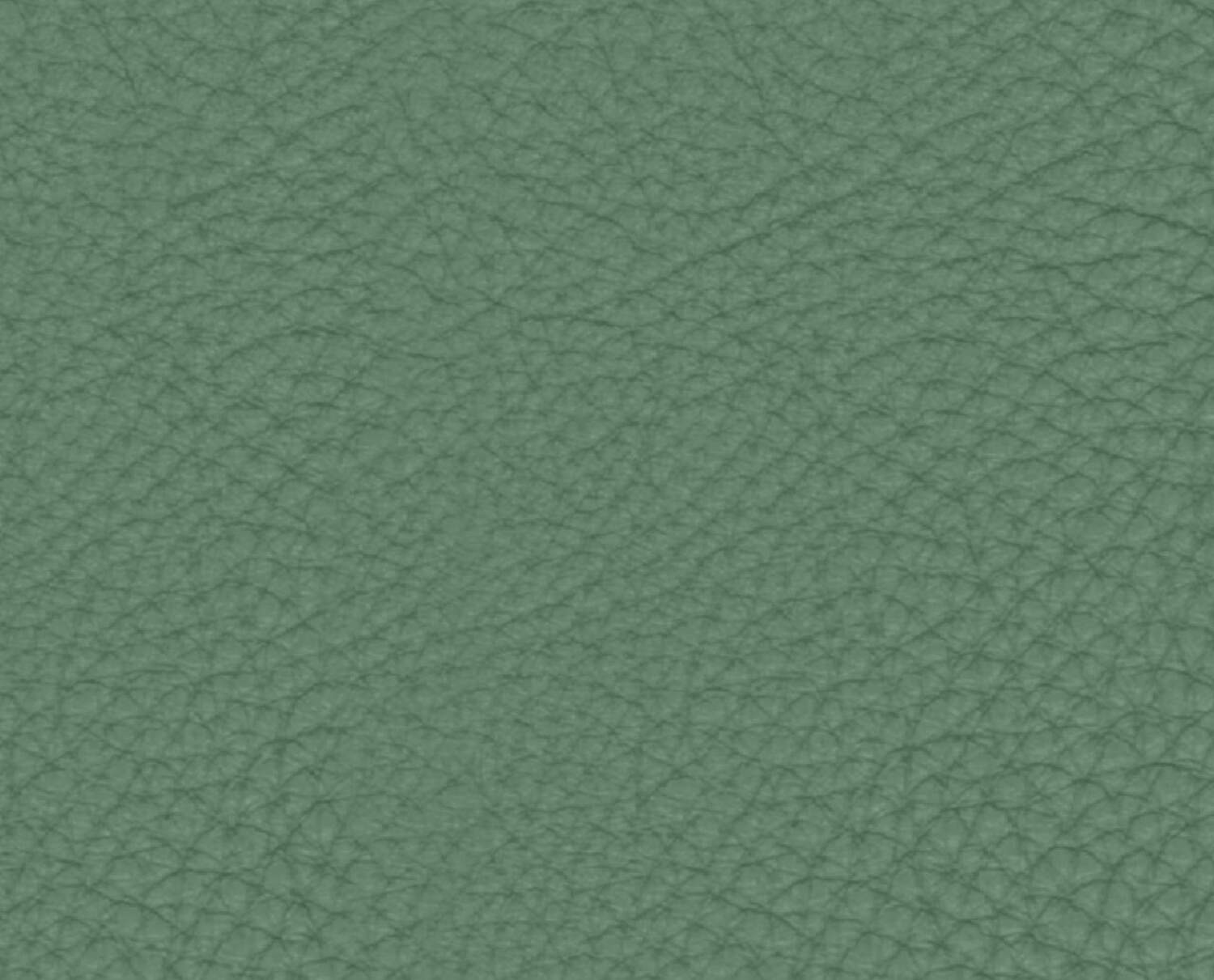 Verde marino