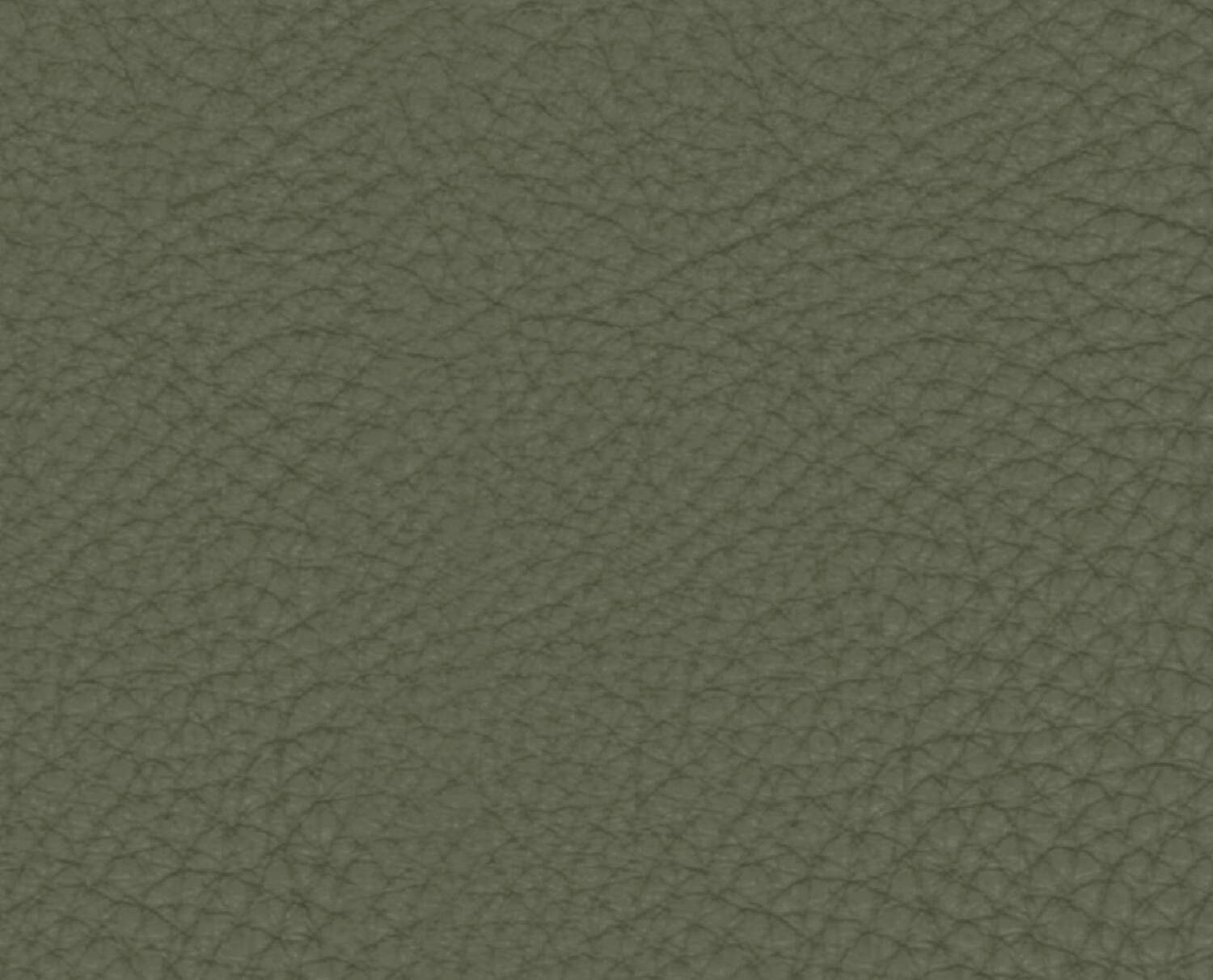 Verde foresta