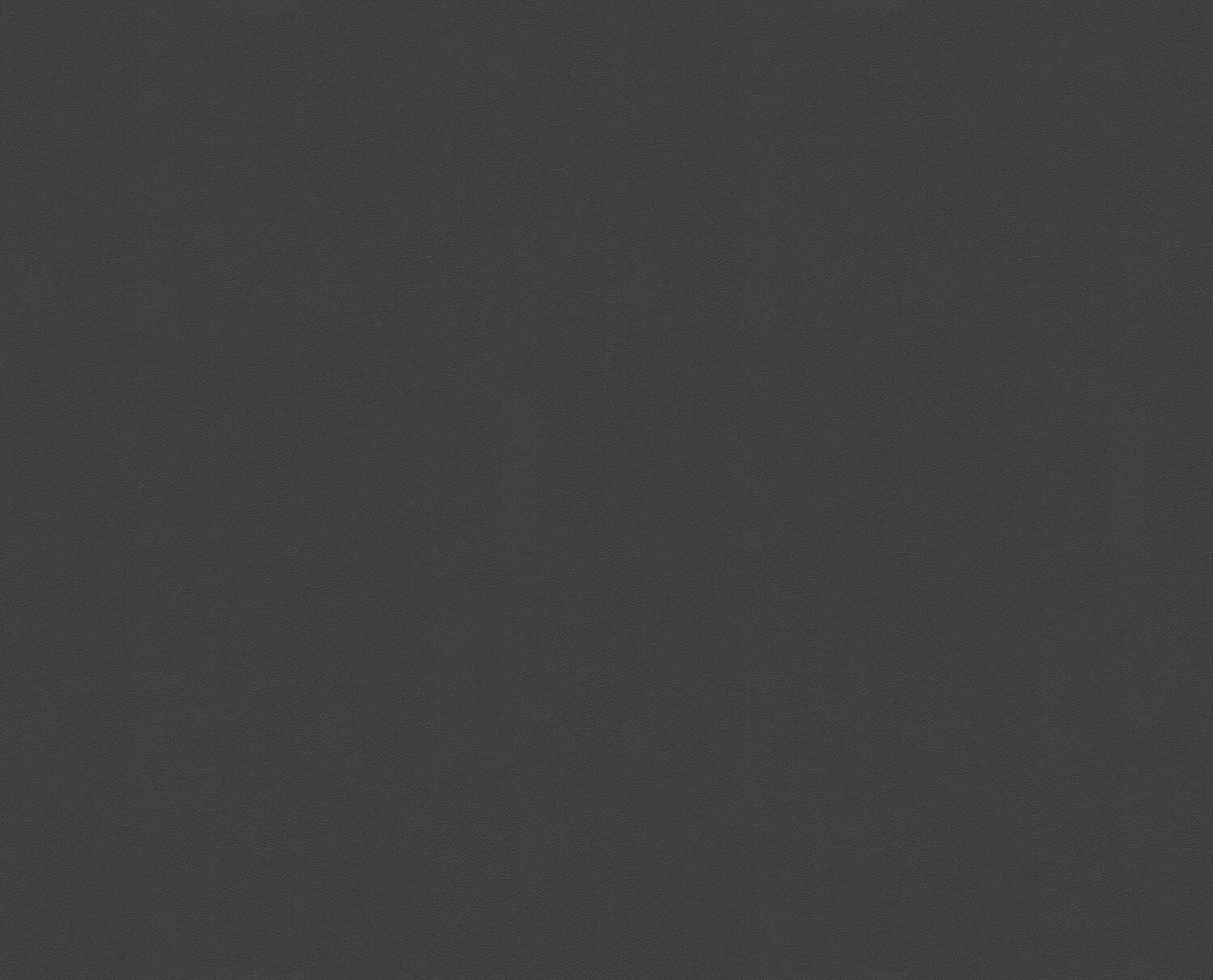 Antracite
