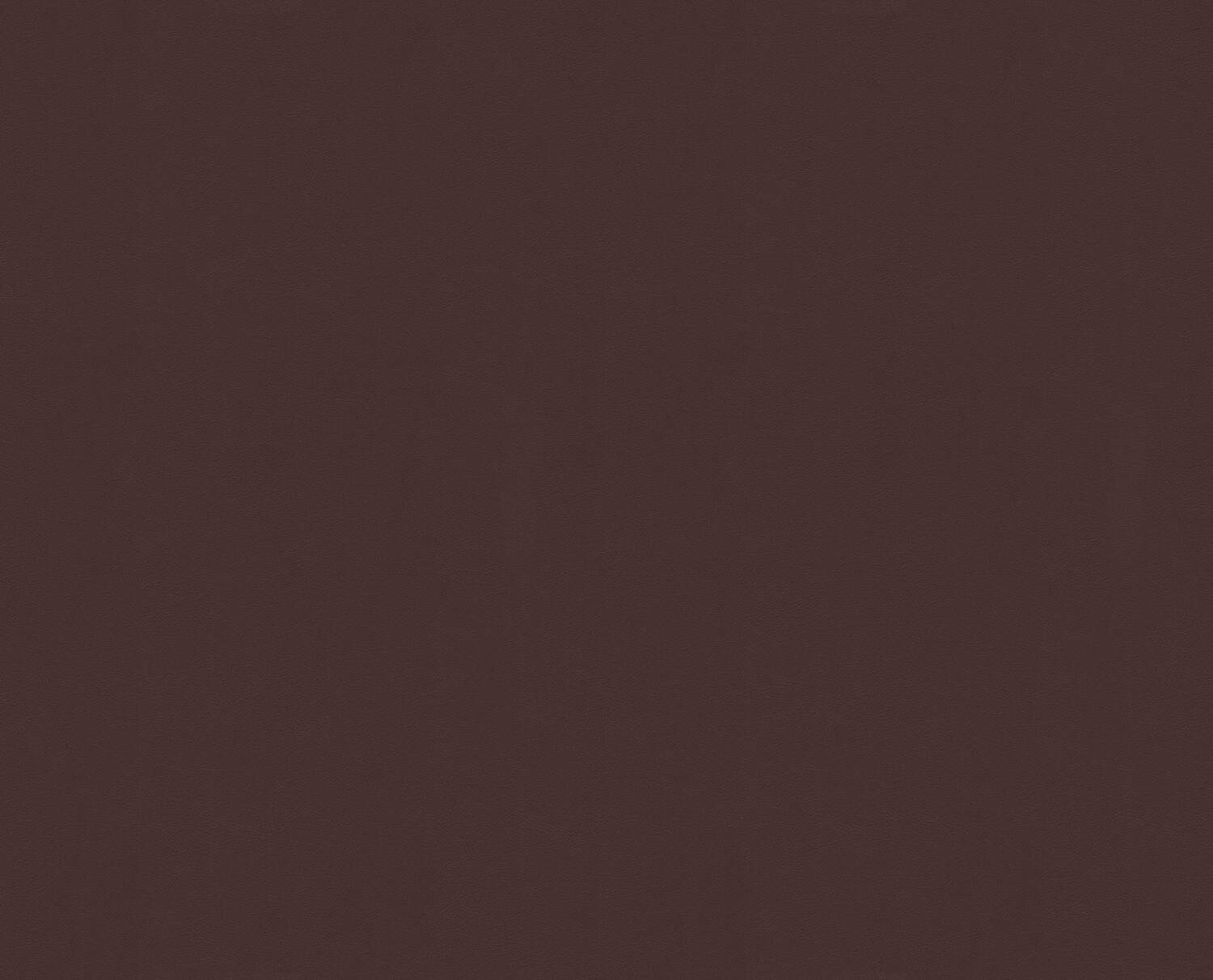 Testa di moro