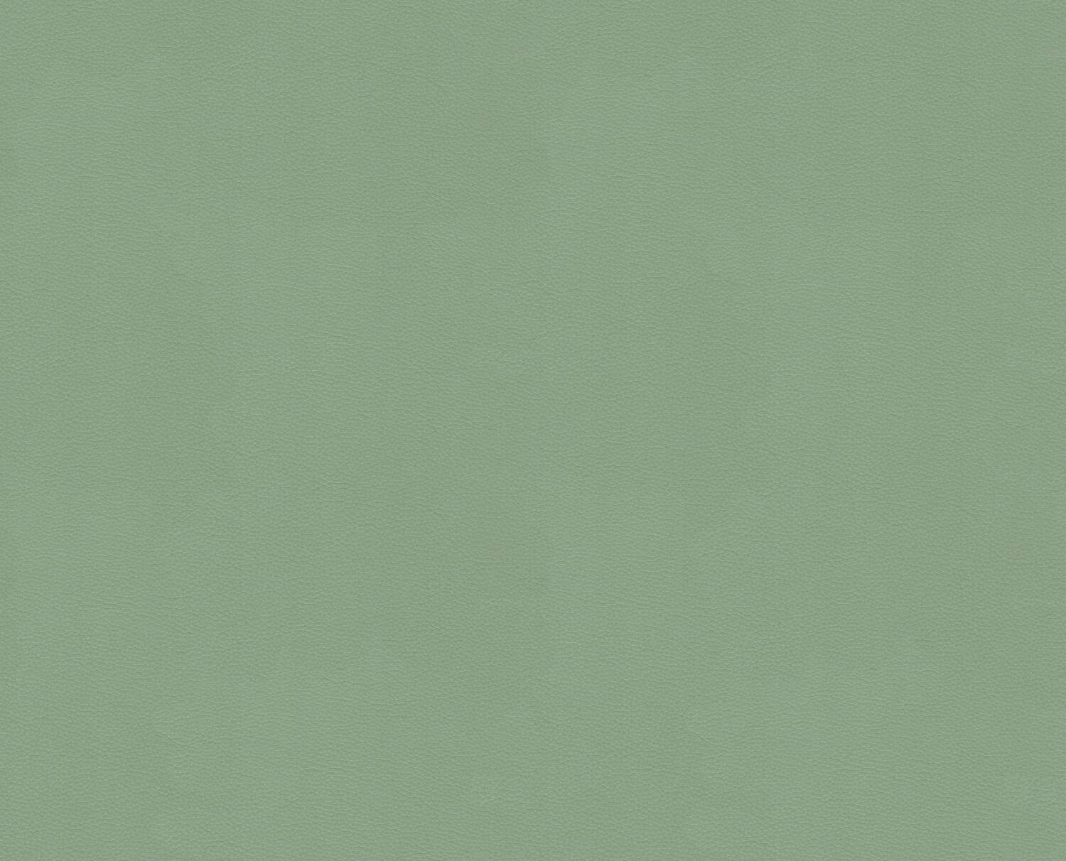 VERDE MENTA