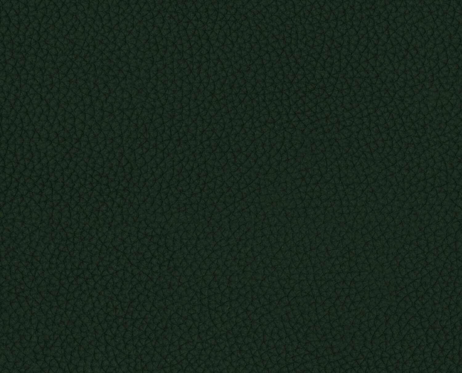 w019