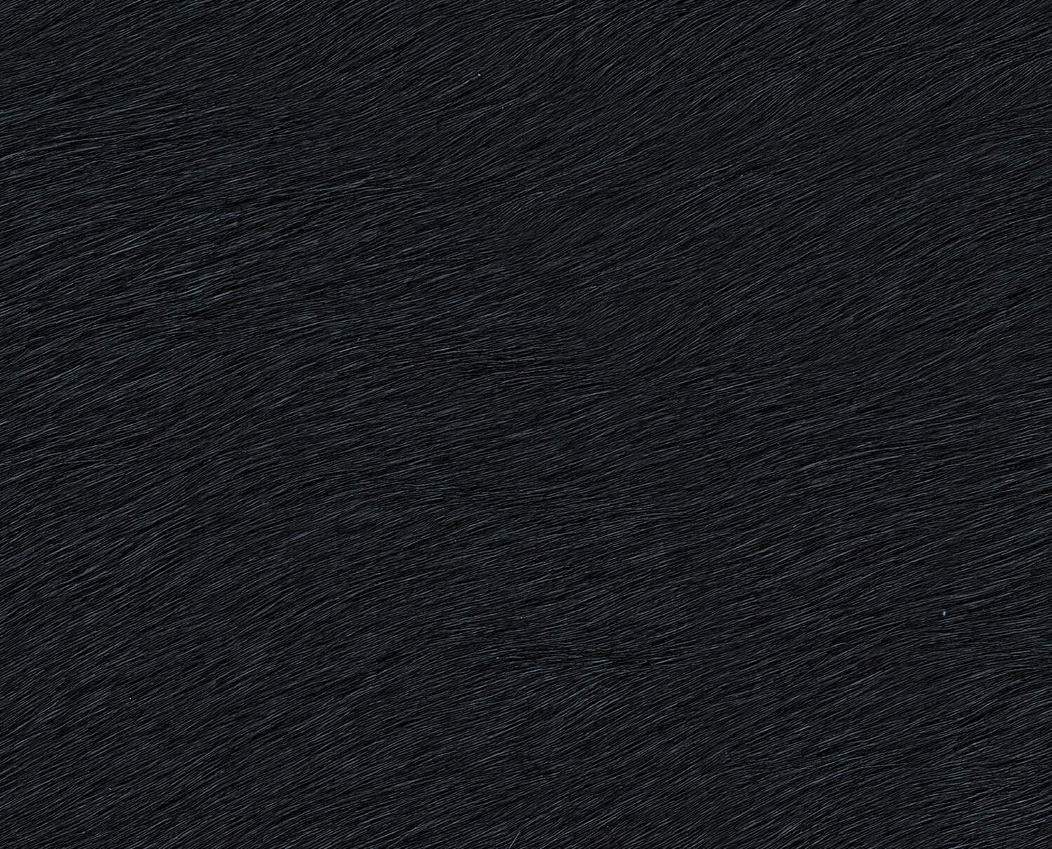 pelle pelo nero
