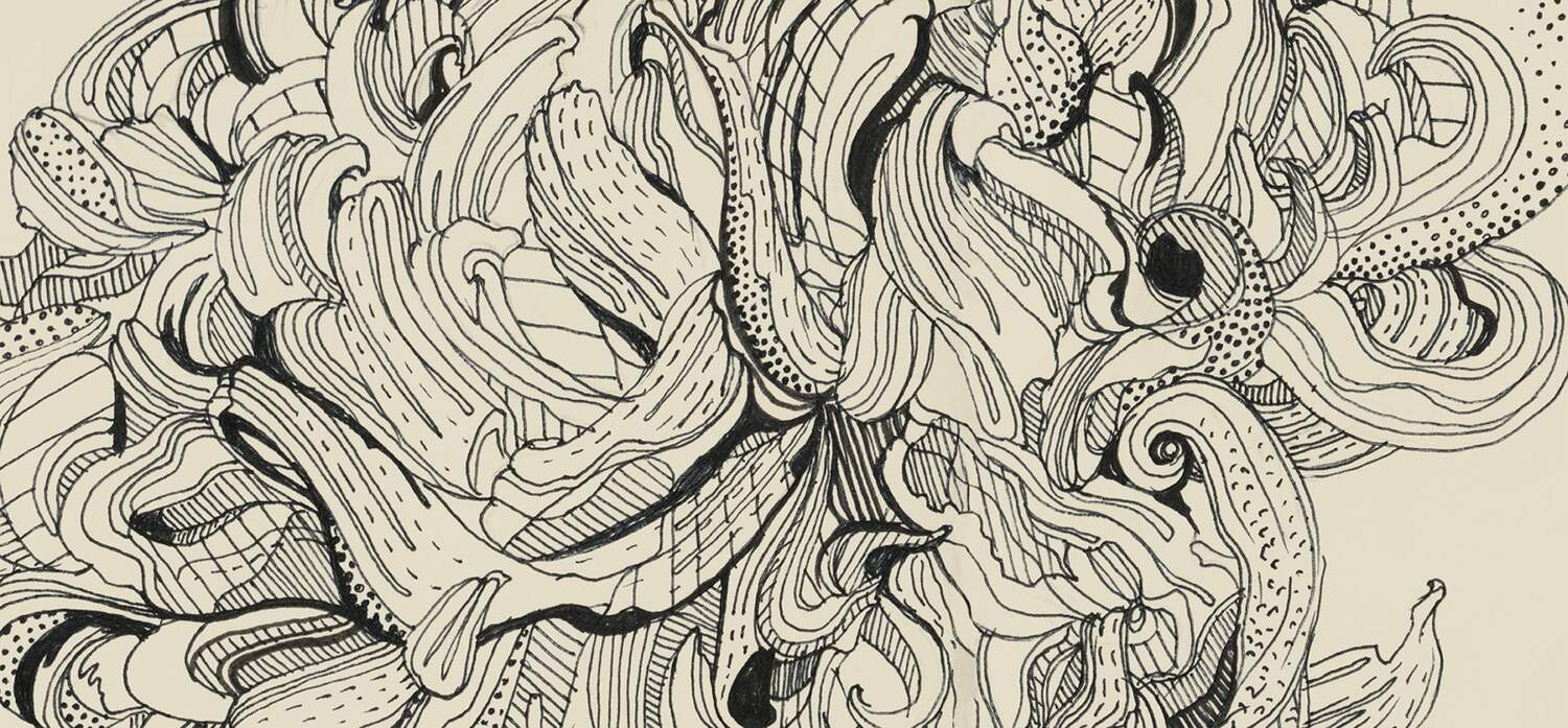 full image 01