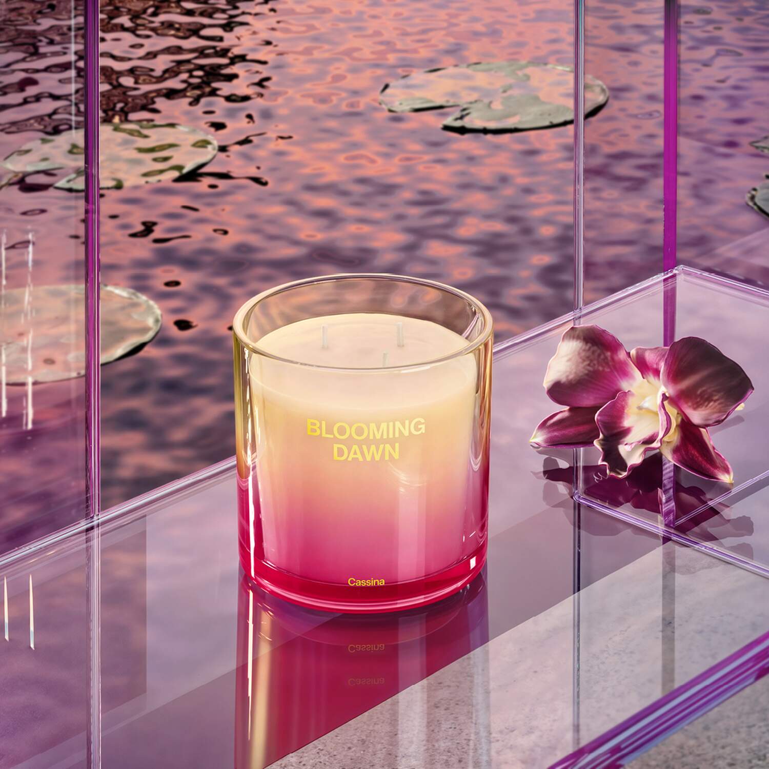 03 dettagli home fragrance blooming dawn cassina